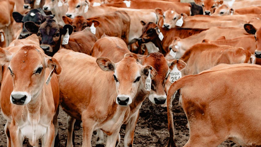 Photo by Sincerely Media on Unsplash